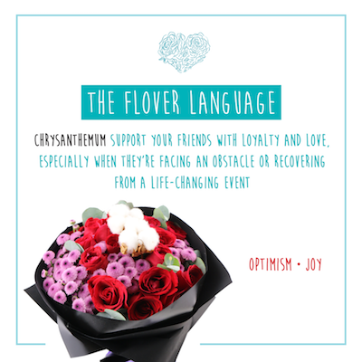 【The Flover Language】- Chrysanthemum