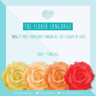 【The Flover Language】- Rose